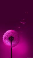 Glitter HD Wallpapers اسکرین شاٹ 1