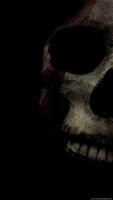 Skulls Wallpapers اسکرین شاٹ 1