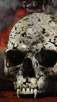 Skulls Wallpapers تصوير الشاشة 3