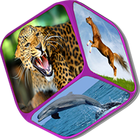 Animals Sounds 3D+ icon