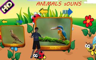 Animals Sounds 3D+ پوسٹر