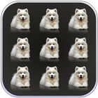 Pets Dogs Pattern Lock Screen biểu tượng
