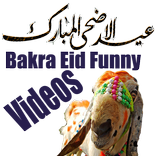 Bakra Eid Funny Videos