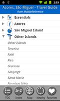 Azores: São Miguel FREE Guide Affiche