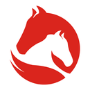 The Winning Tipster APK