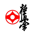 International Karate biểu tượng