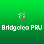 آیکون‌ PRU Bridgelea