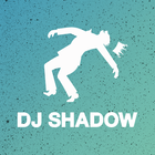 DJ Shadow icône