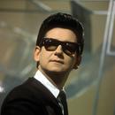 APK Roy Orbison