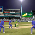 Superb Cricket Games icono