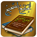 الجامع الصحيح  مسند الربيع APK