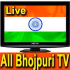 Bhojpuri TV icon