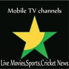 Mobile TV Live Streaming in HD-icoon