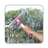 Mobile Screen Wiper APK