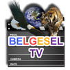 Mobil Belgesel Tv İzle APK