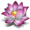 Annem APK