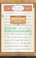 The Qur'an captura de pantalla 1