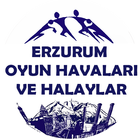 Erzurum Oyun Havaları icon