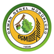 Orman Genel Müdürlüğü