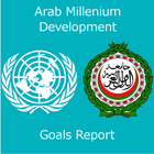Arab MDG Report 2013 آئیکن