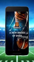 Bulldogs American Football poster