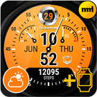 Watch Face Clockster icono