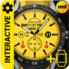 Watch Face Y360 Inter-icoon