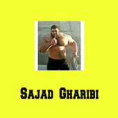 Sajab Gharibi icon