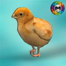 Chick Simulator APK