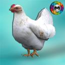 My Chicken Simulator-APK
