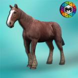 My Horse Simulator
