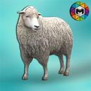My Sheep Simulator-APK