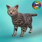 My Stray Cat Simulator icon