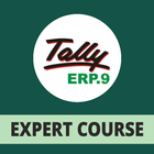 Tally ERP 9 Expert GST Course Hindi ícone