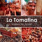 Tomatina 2017 أيقونة