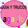 trucos y guia agar.io