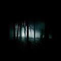 La llorona (Torre)