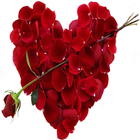 Valentine Special Wallpapers আইকন