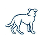 ah schnauzer rescue ah schnauzer rescue