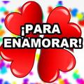 AMOR MIO