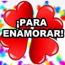 AMOR MIO APK