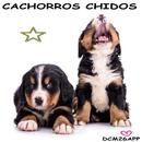 PUPPIES CHIDOS-APK