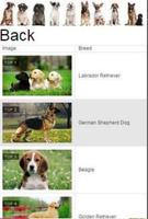 Top Best Dog Breeds screenshot 1