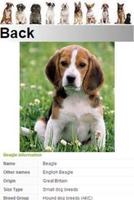 Top Best Dog Breeds screenshot 2