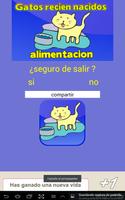 Gatitos bebés: alimentación 截圖 1