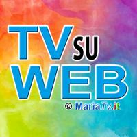 TVsuWEB poster