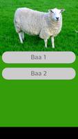 Sheep Sounds imagem de tela 1