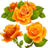 Flores bellas ikon