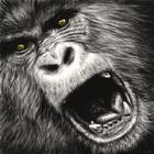 Gorilla Sounds icon