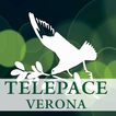 Telepace Verona